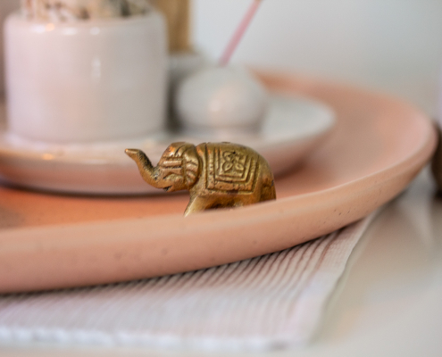 Dr. med. Barbara Ordon, Medizin, Ayurveda, Coaching, Hannover, Elefant